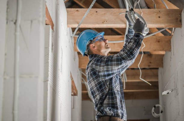 Best Local Electrician Companies  in Grosse Pointe Park, MI